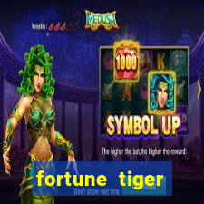 fortune tiger aposta 1 real